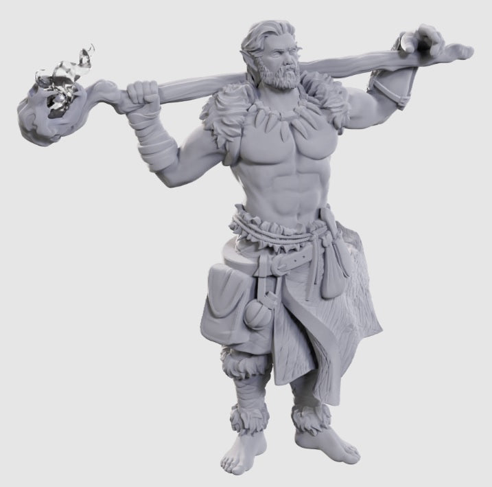 Dungeons & Dragons: Nolzur's Marvelous Unpainted Miniatures - W24 Archdruid & Martial Arts Adept
