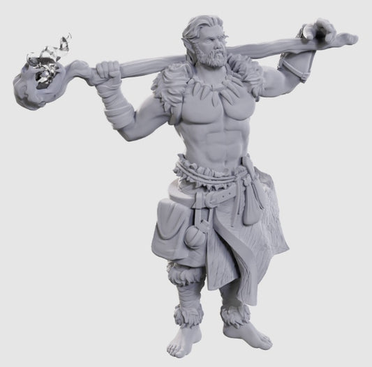 Dungeons & Dragons: Nolzur's Marvelous Unpainted Miniatures - W24 Archdruid & Martial Arts Adept